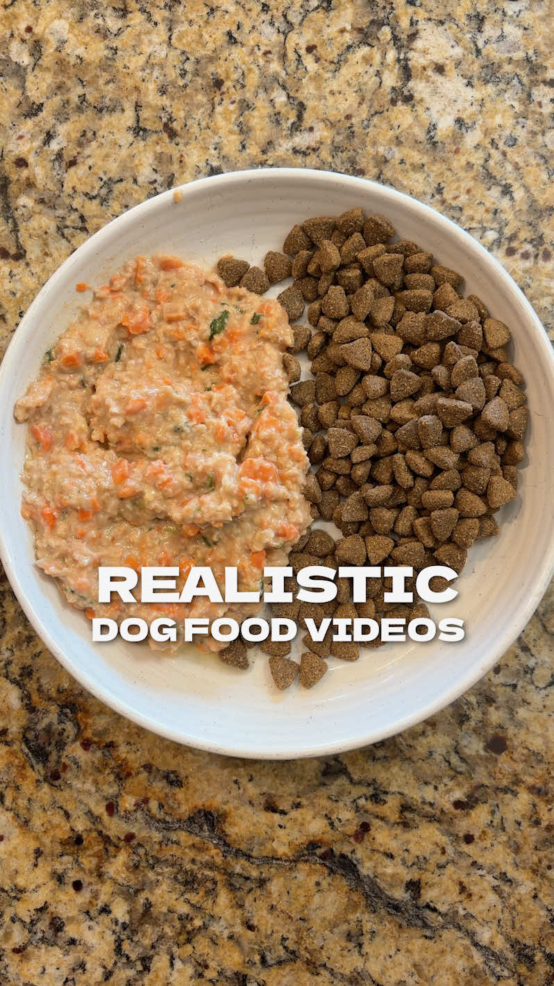 @The BK Pets - Dog Food Tips
