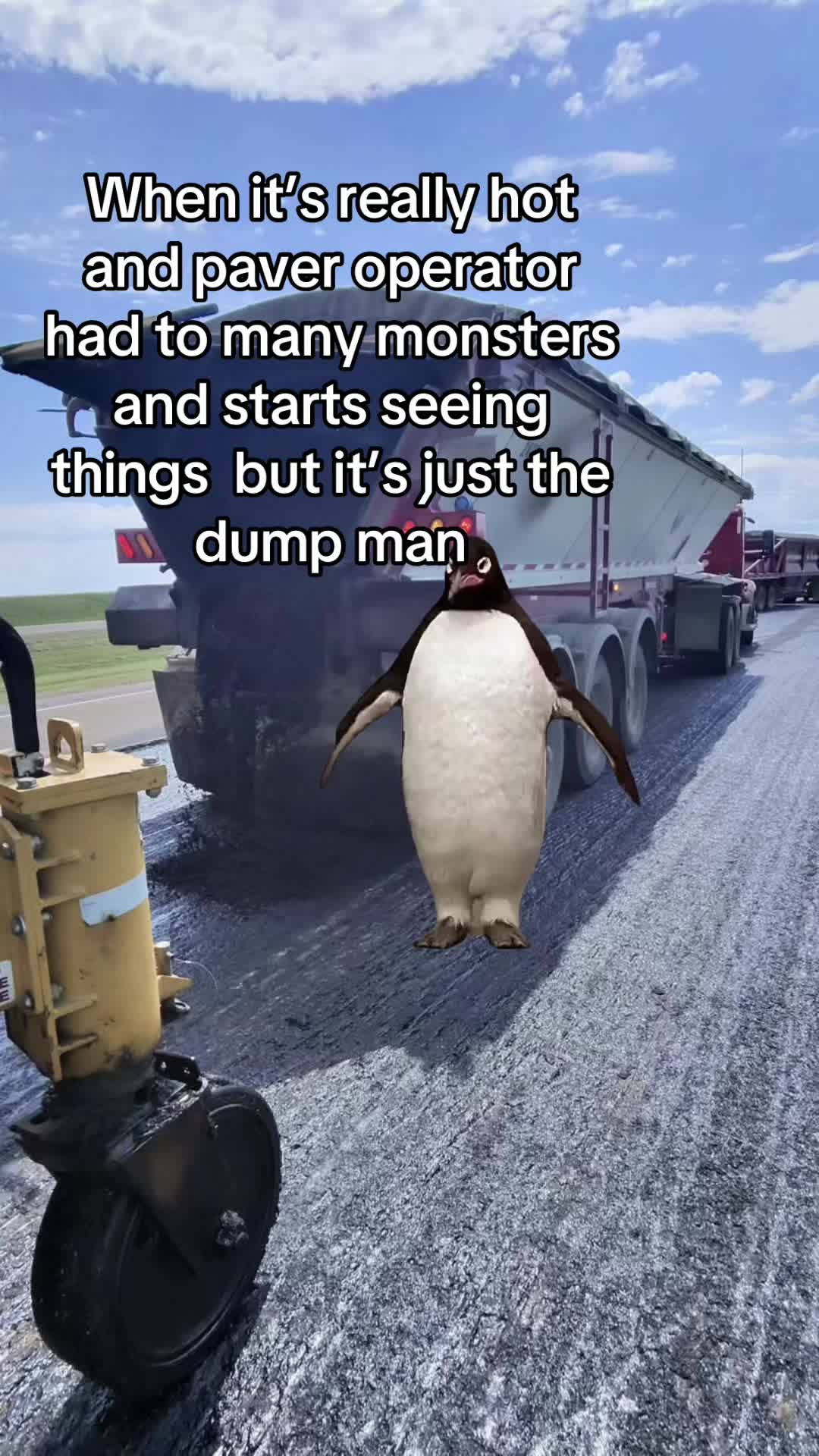 @CALIBOI559