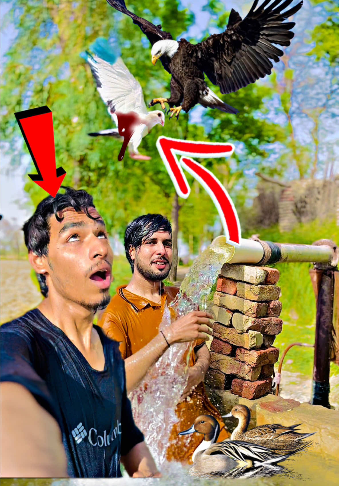 @Usama tunio