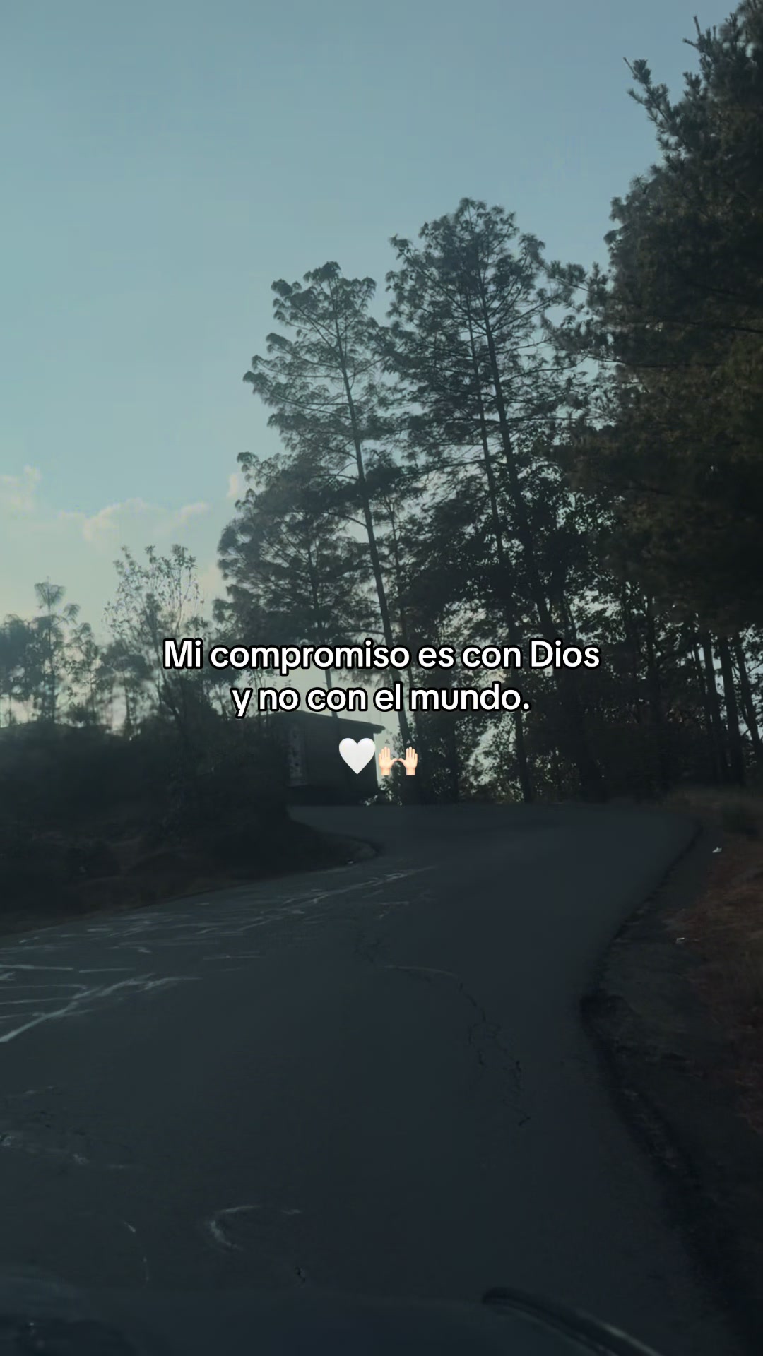 @✨Lizbeth✨