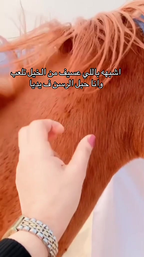 @شوق الشيباني 𓃴♡: