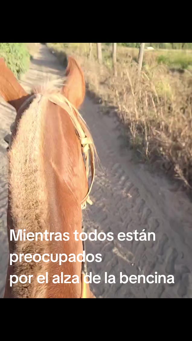 @eva_mastaburuaga