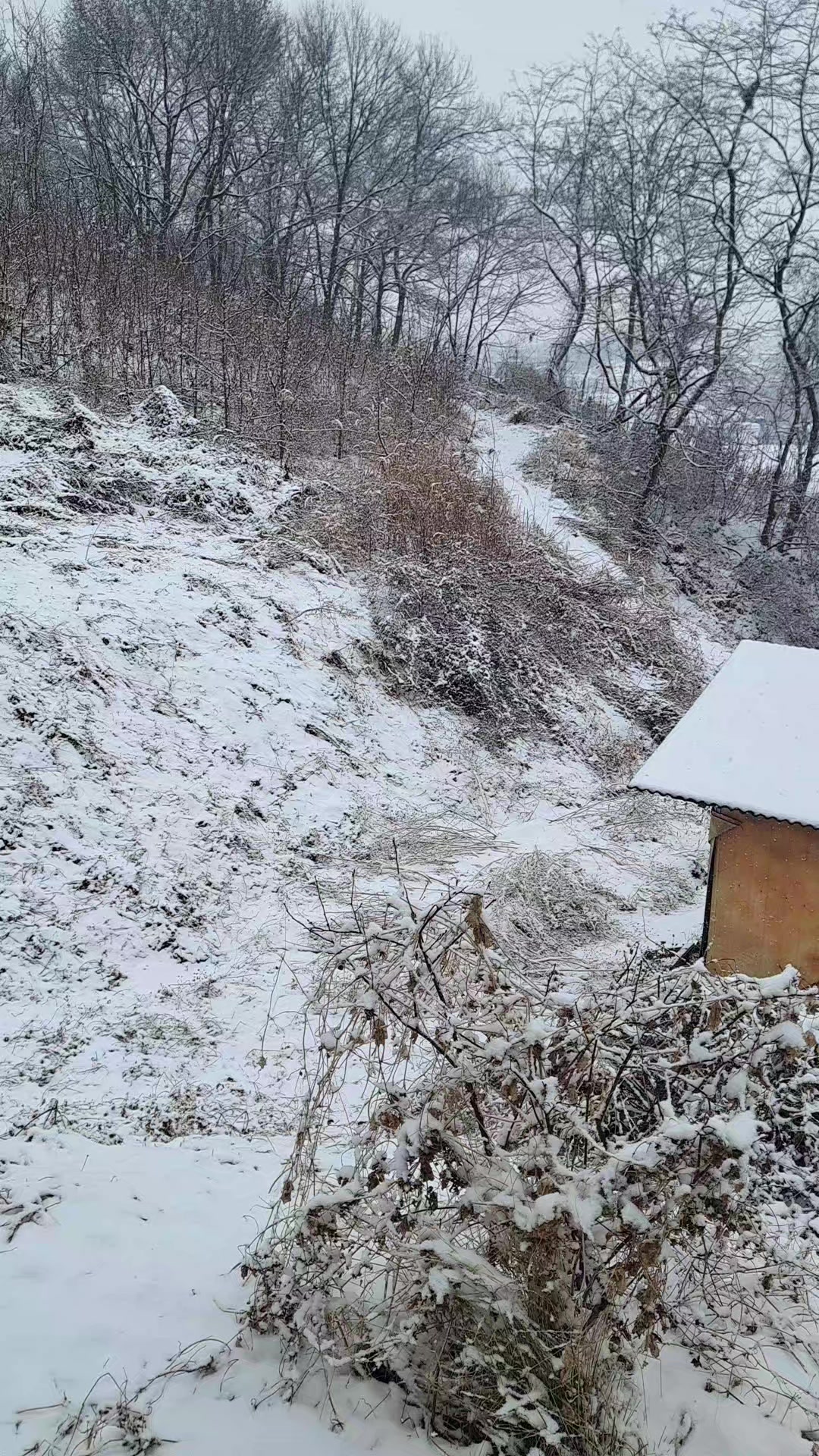@मर्यादा पुरुषोत्तम 스리राम