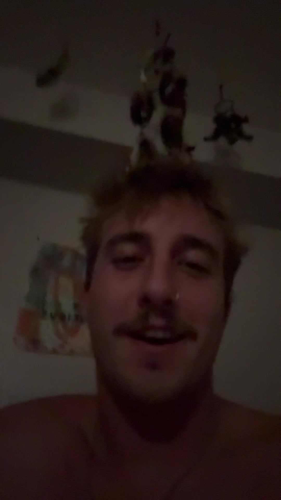 @Timmy Newton