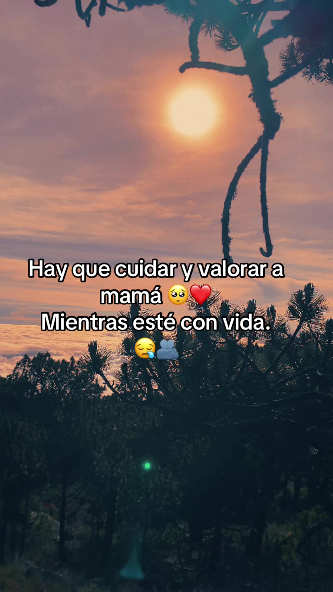 @😻𝓢𝓪𝓵𝓿𝓪𝓭𝓸𝓻🙈💋
