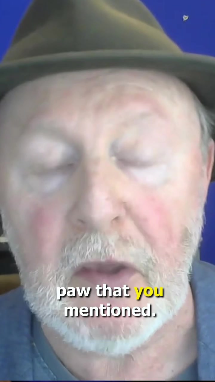 @Paul Ollinger