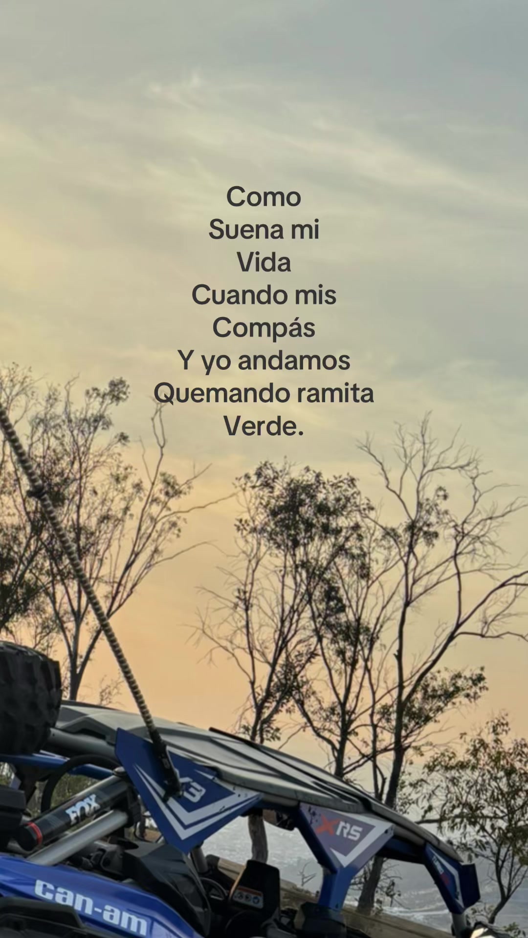 @16
