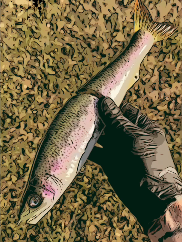 @Custom Bait Shop