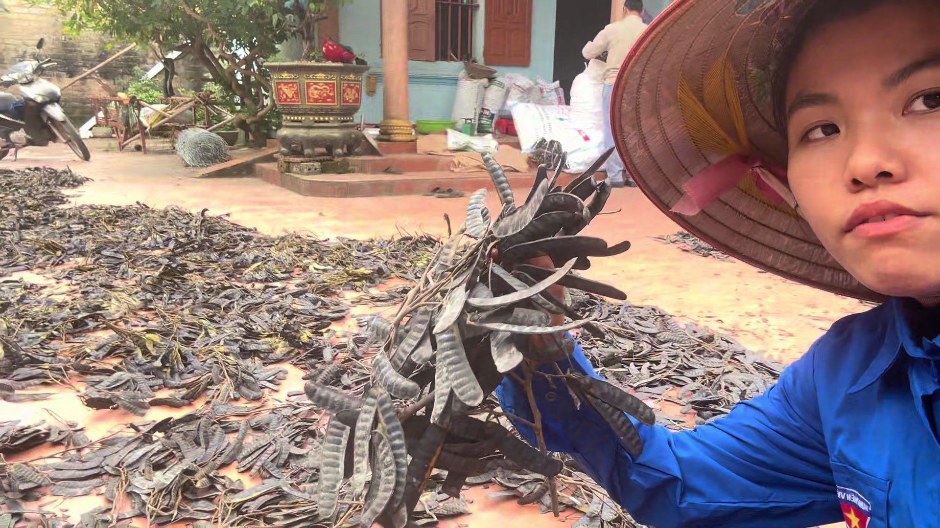 @Nh&agrave; Vườn Vũ Mai