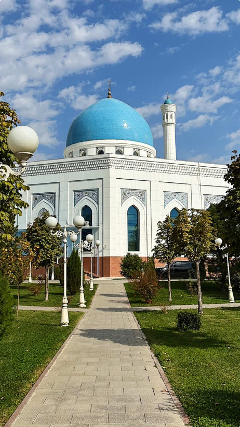 @thetravellingmuslims