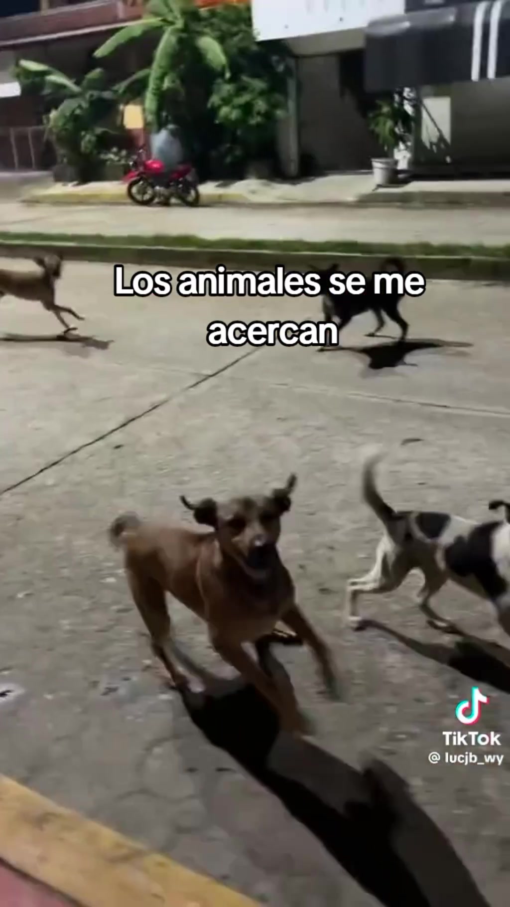 @Su Lariza