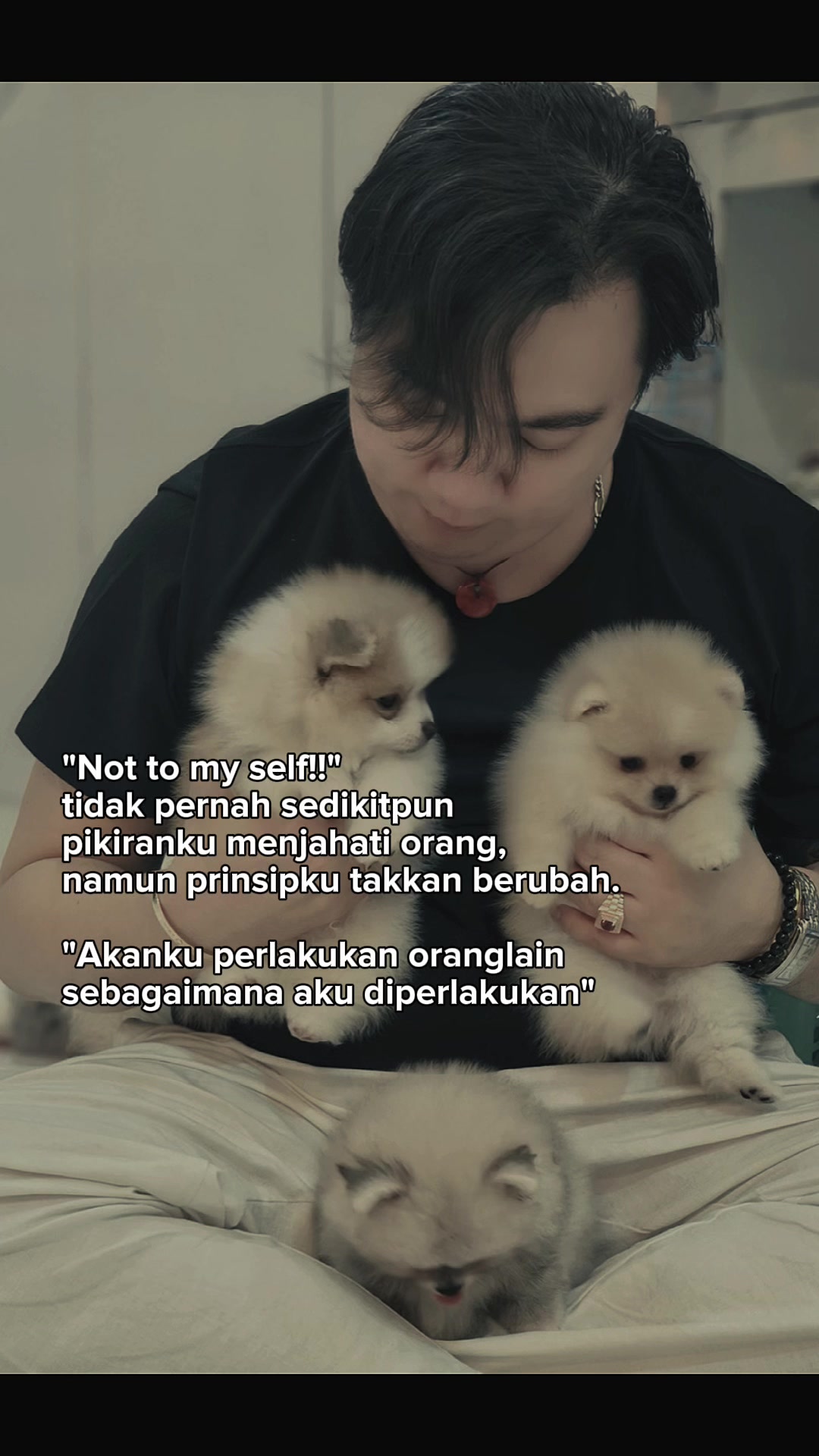 @ShiN