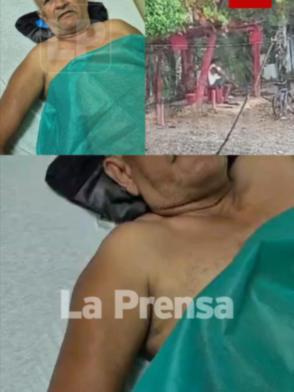 @diariolaprensa