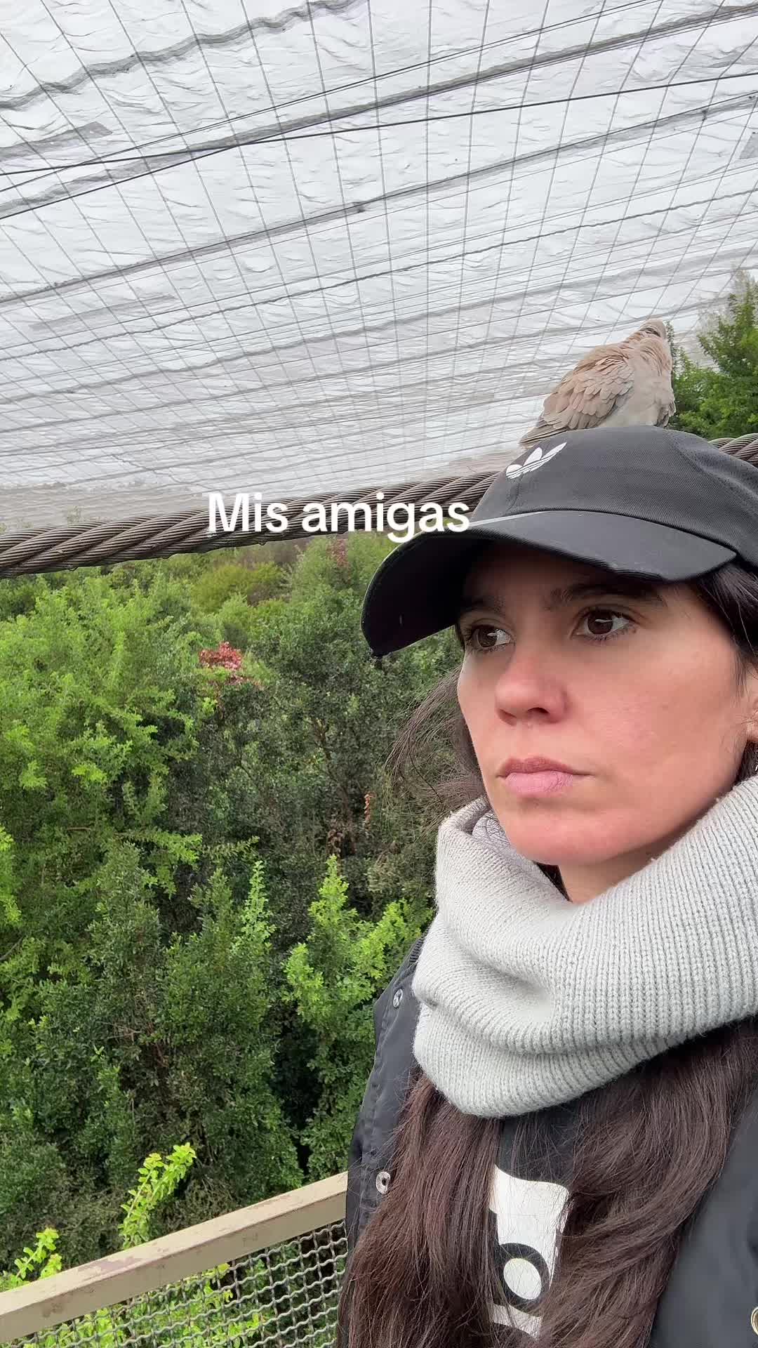 @Javiera Mena