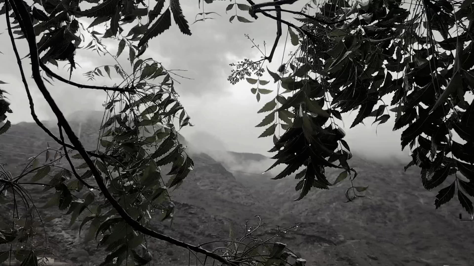 @صالحه القحطاني 🪄