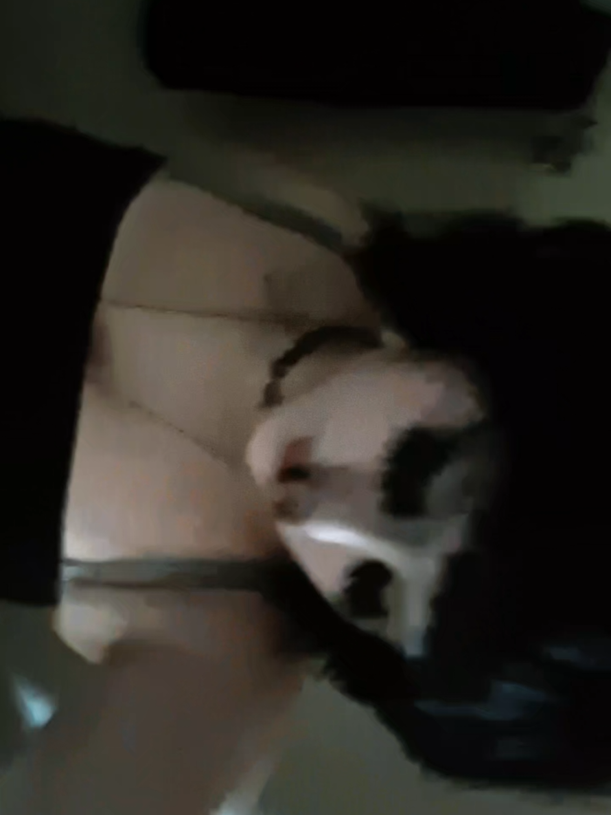 @🎵🦴hannah🦴🎵