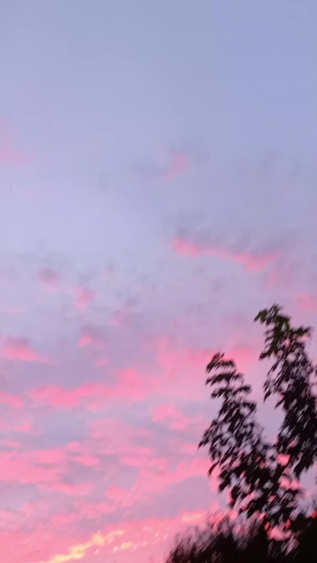 @&bull;𝙰𝚕𝚎𝚡𝚊𝚗𝚍𝚛𝚊&bull;🎀🌸