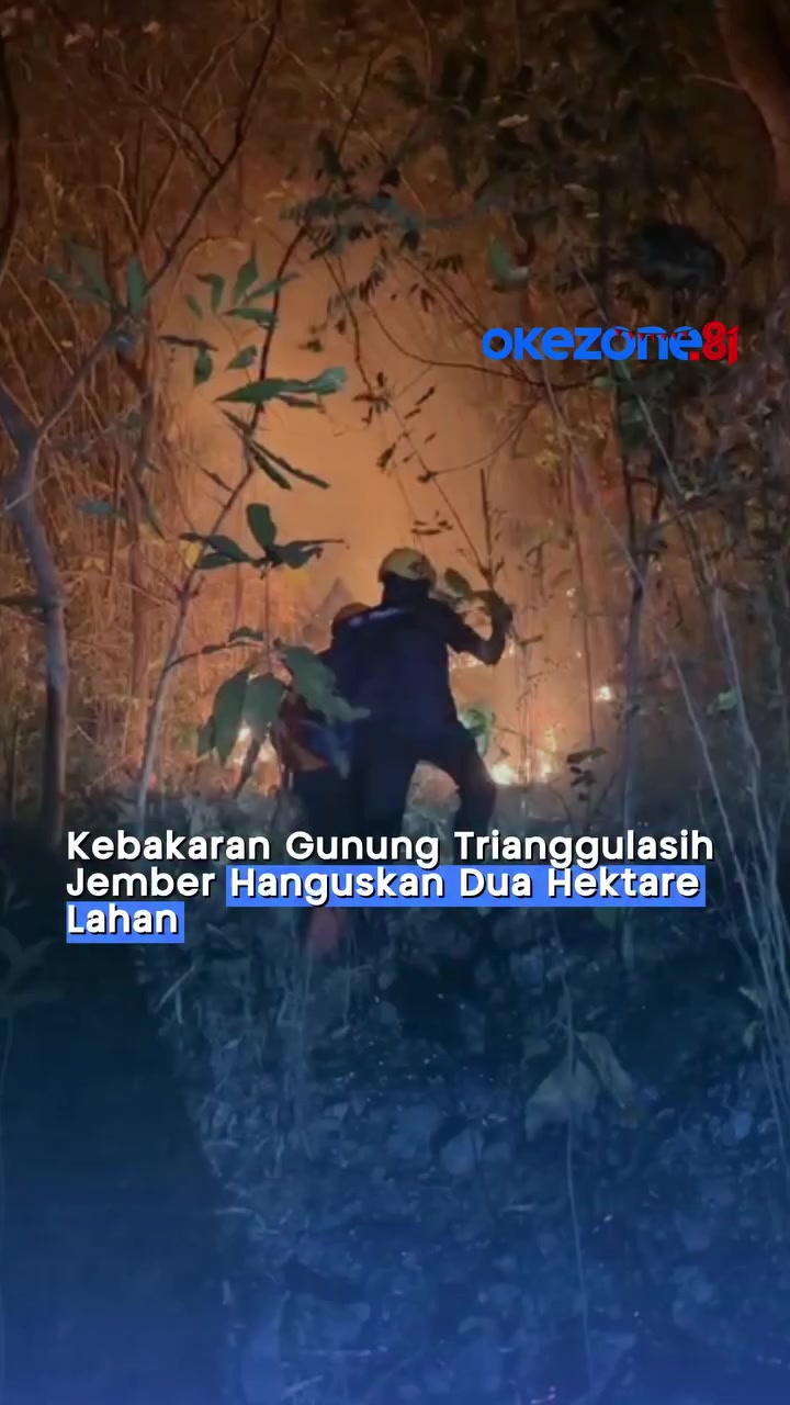 @emi_aRkan