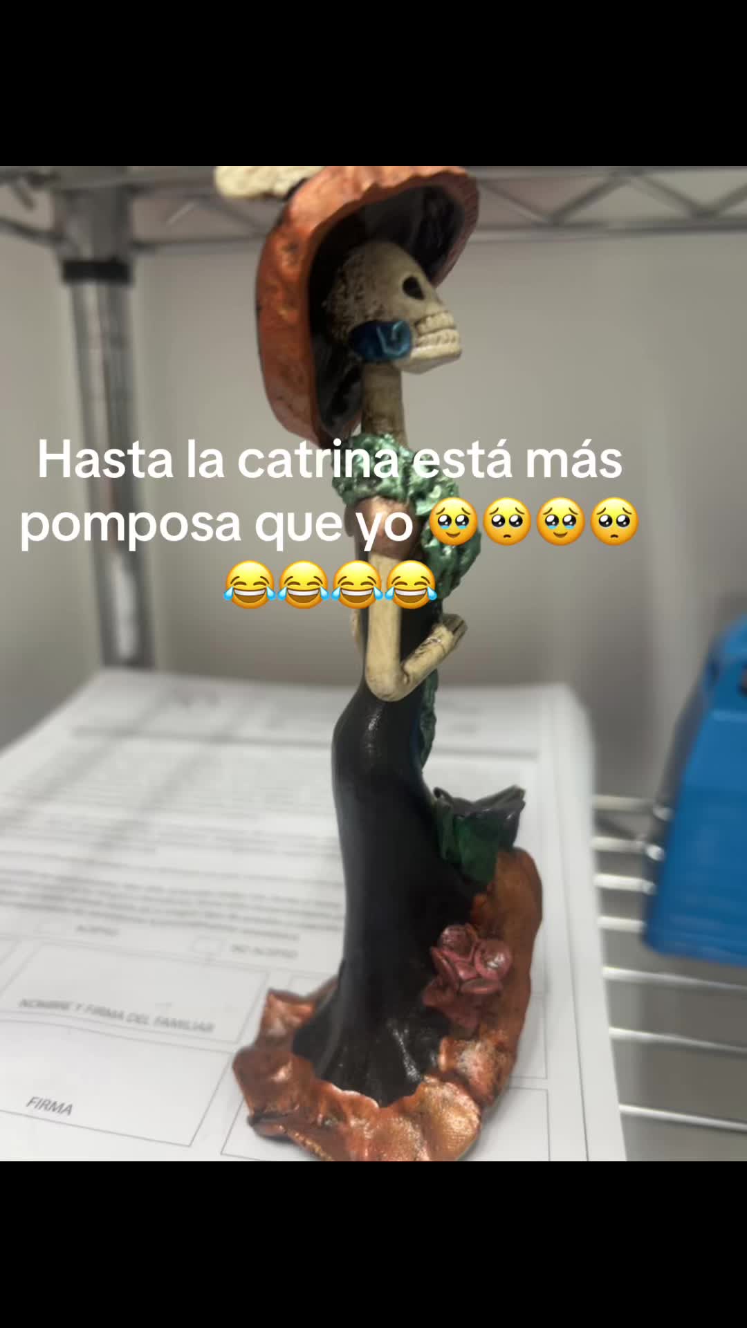 @Caroline Chacon Sond