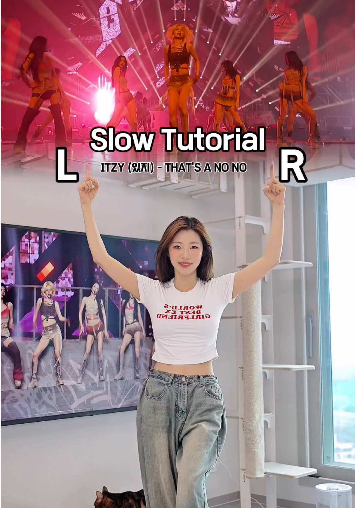 @소나월드 sonaworld