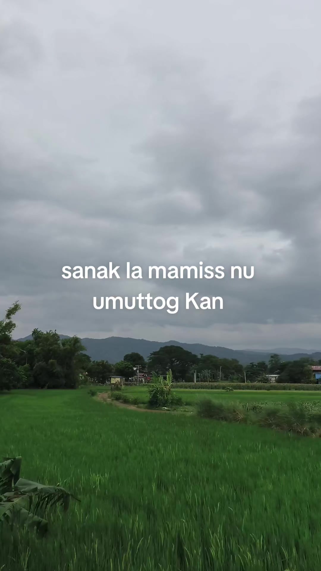 @cryss