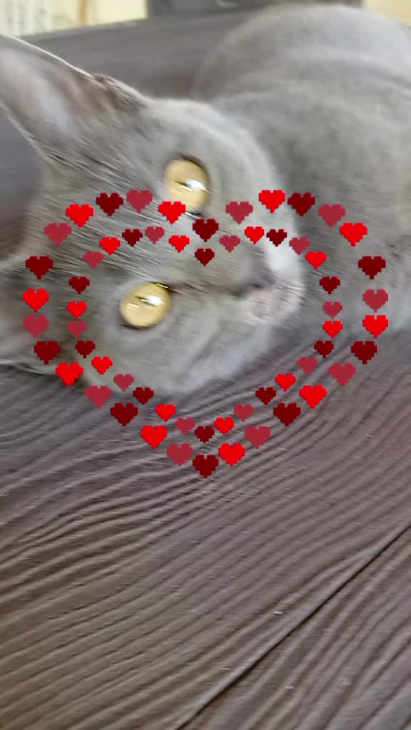 @𝓜𝓲𝓵𝓮𝓭𝓲 𝓓𝓪𝓶𝓪🪽