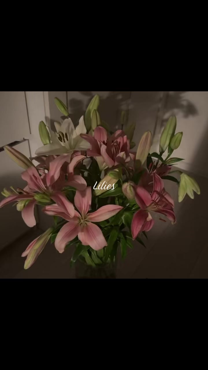 @jkkkssi