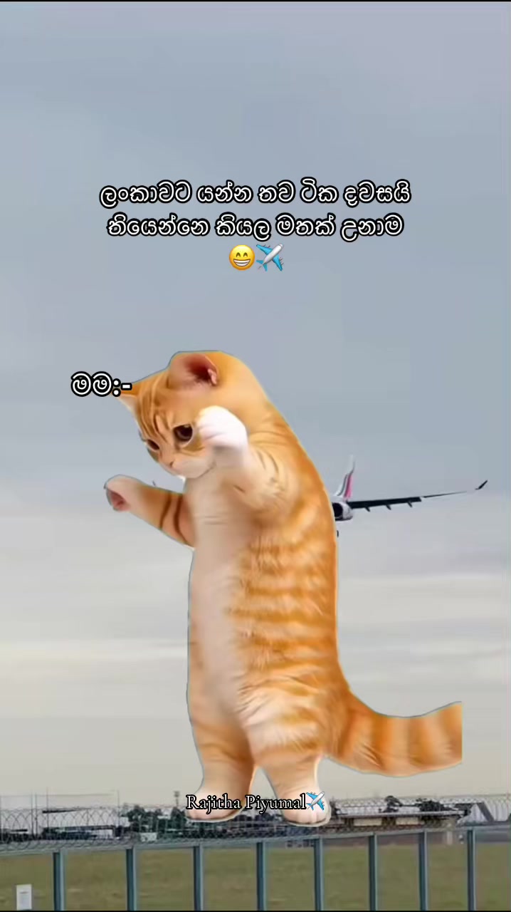 @𝓡𝓪𝓳𝓲𝓽𝓱𝓪 𝓟𝓲𝔂𝓾𝓶𝓪𝓵