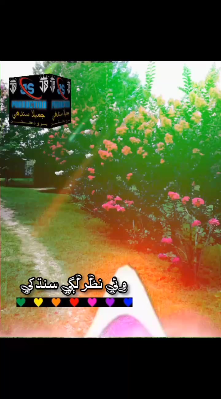 @JAMILA SINDHI