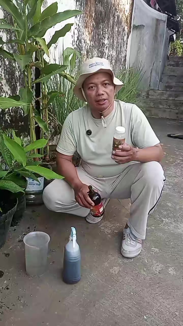 @Berkebun Berkah