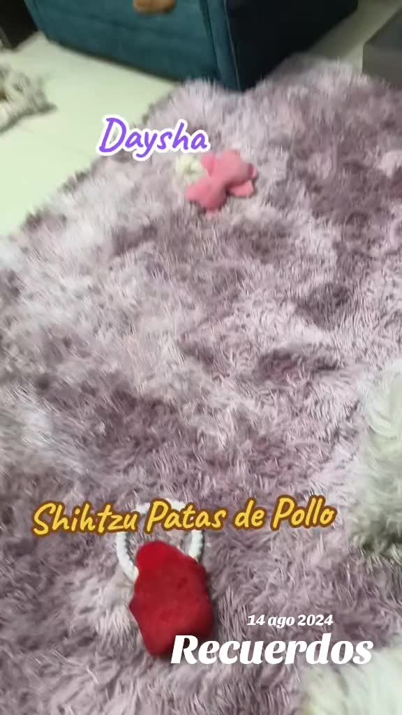 @🎀GαႦιɾυ🎀