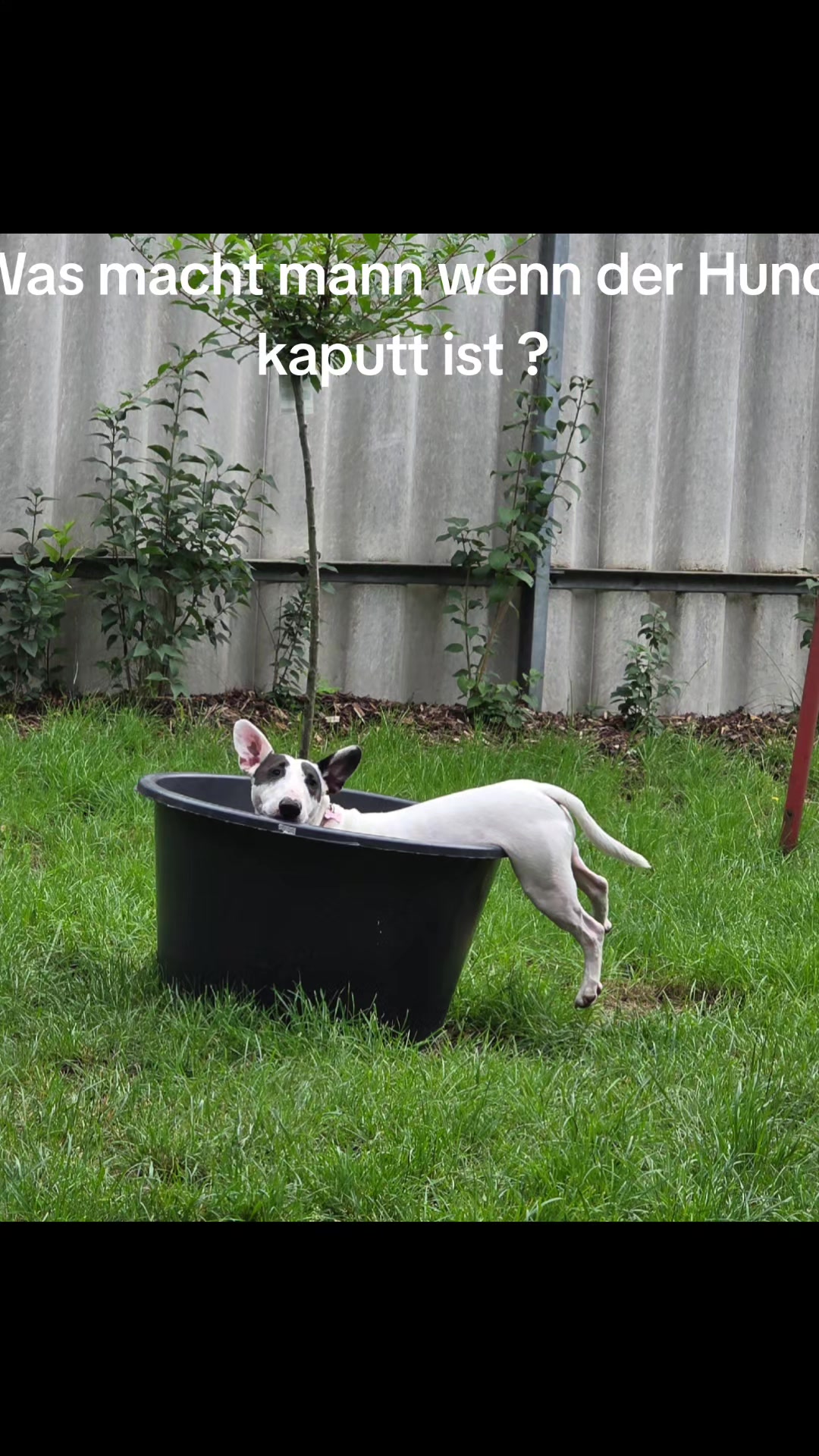 @Toto