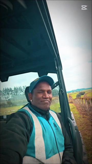 @kevin 🏆🏇🏇🏇🏆 🇸🇬🇲🇾🇳🇿