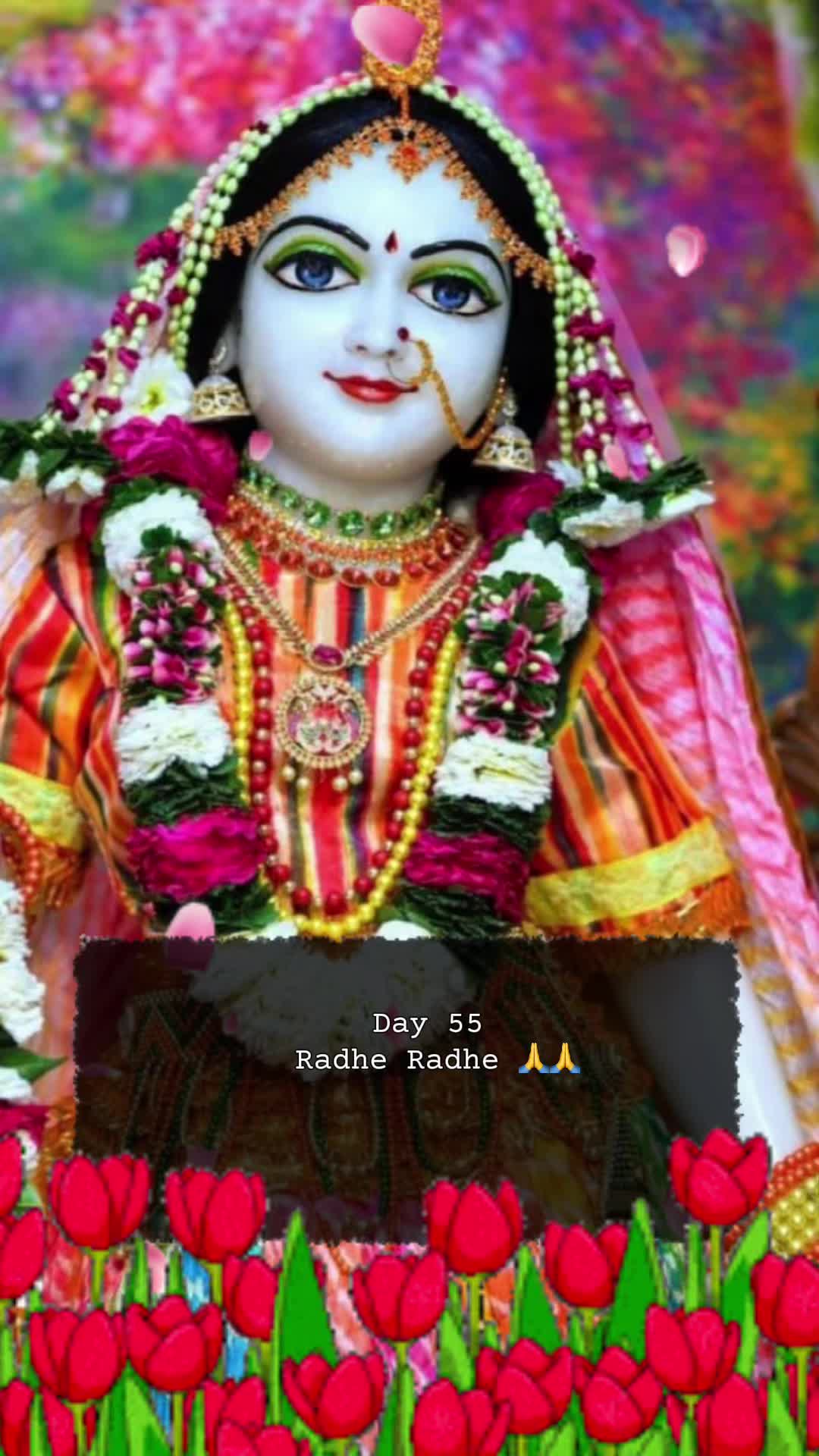@RadheKrishna🦚🦚🙏🙏