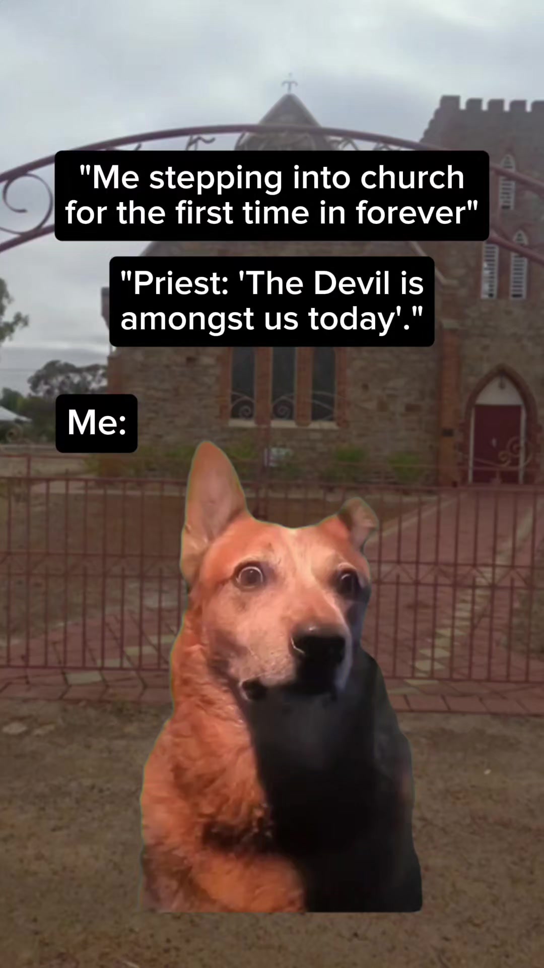 @The Maid Of Graves