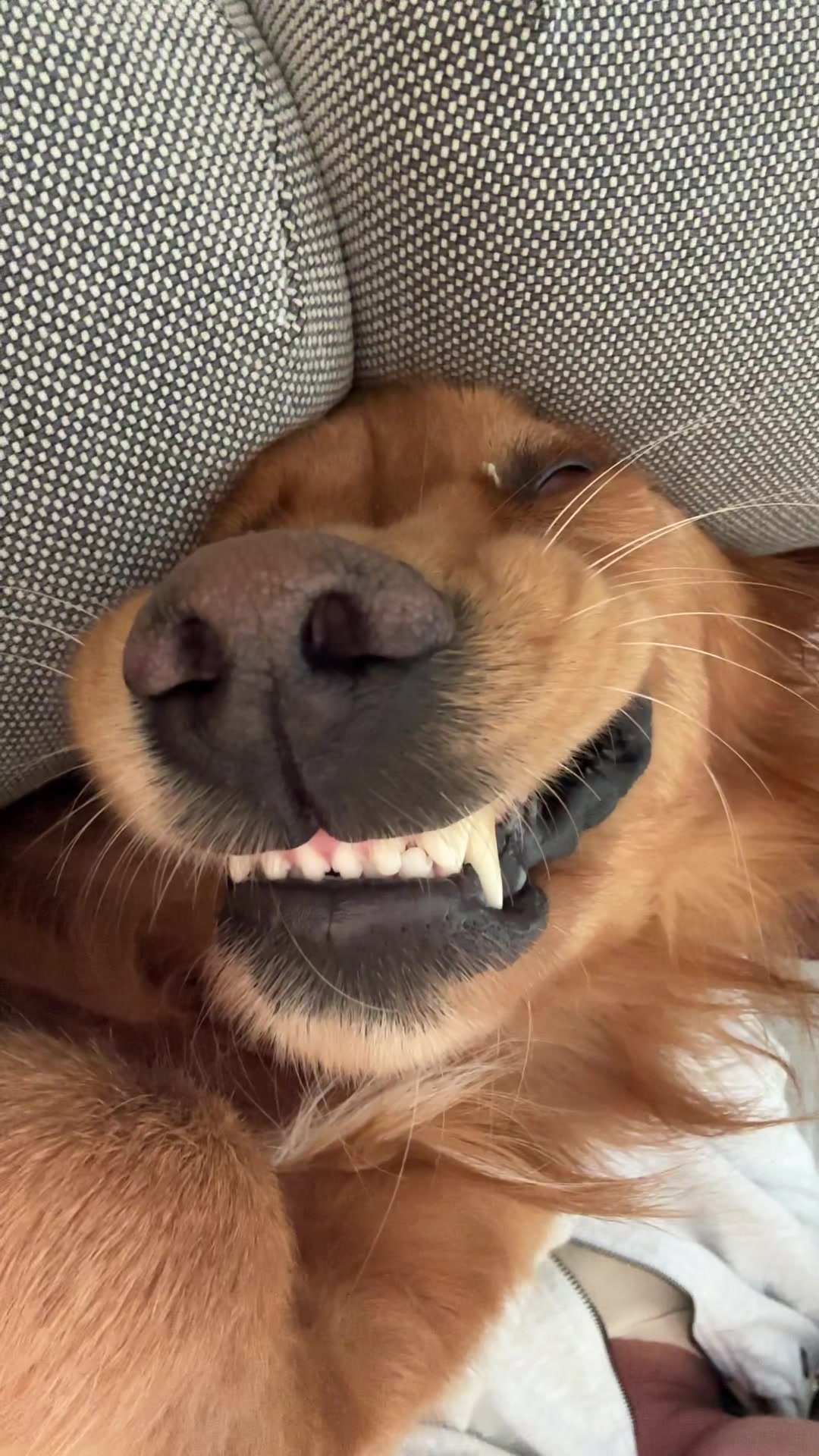 @delilah.thegoldengirl