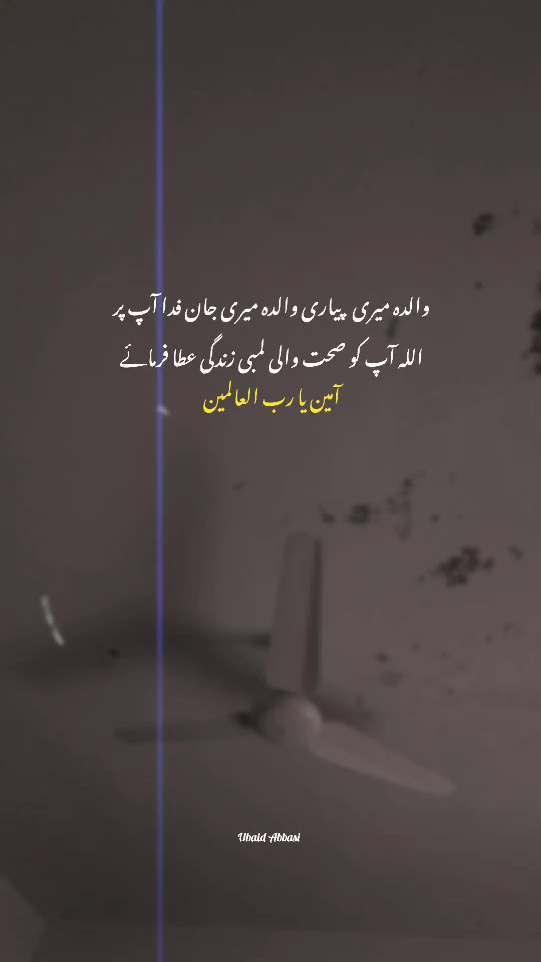@Ubaid Abbasi ⚜️