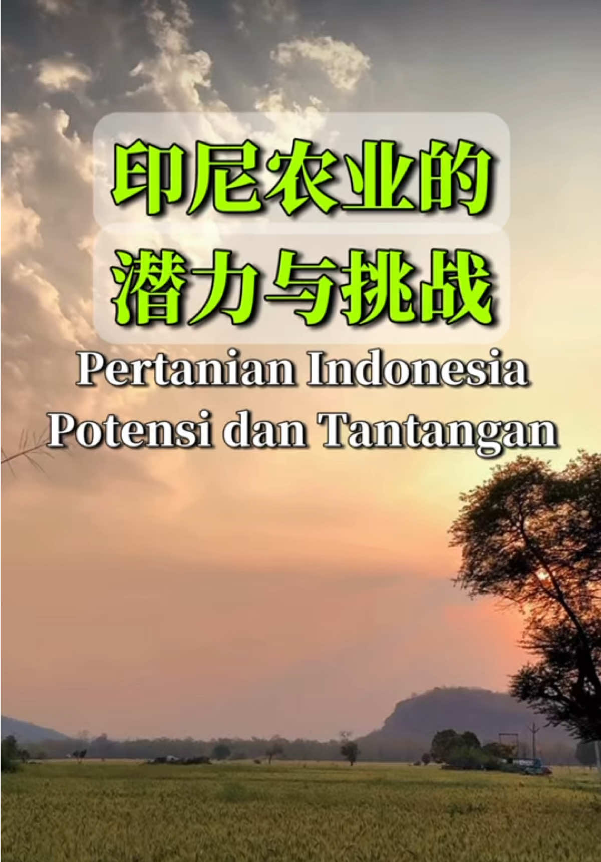 @万岛文化 BudayaNusantara