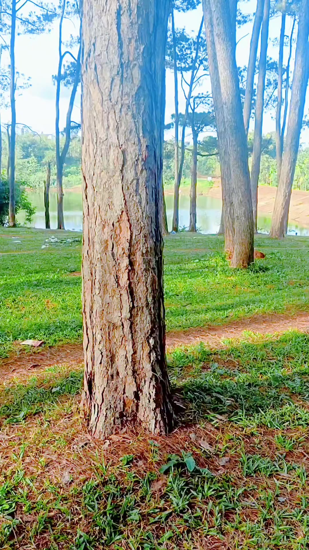 @Hữu.Nguy&ecirc;n 57