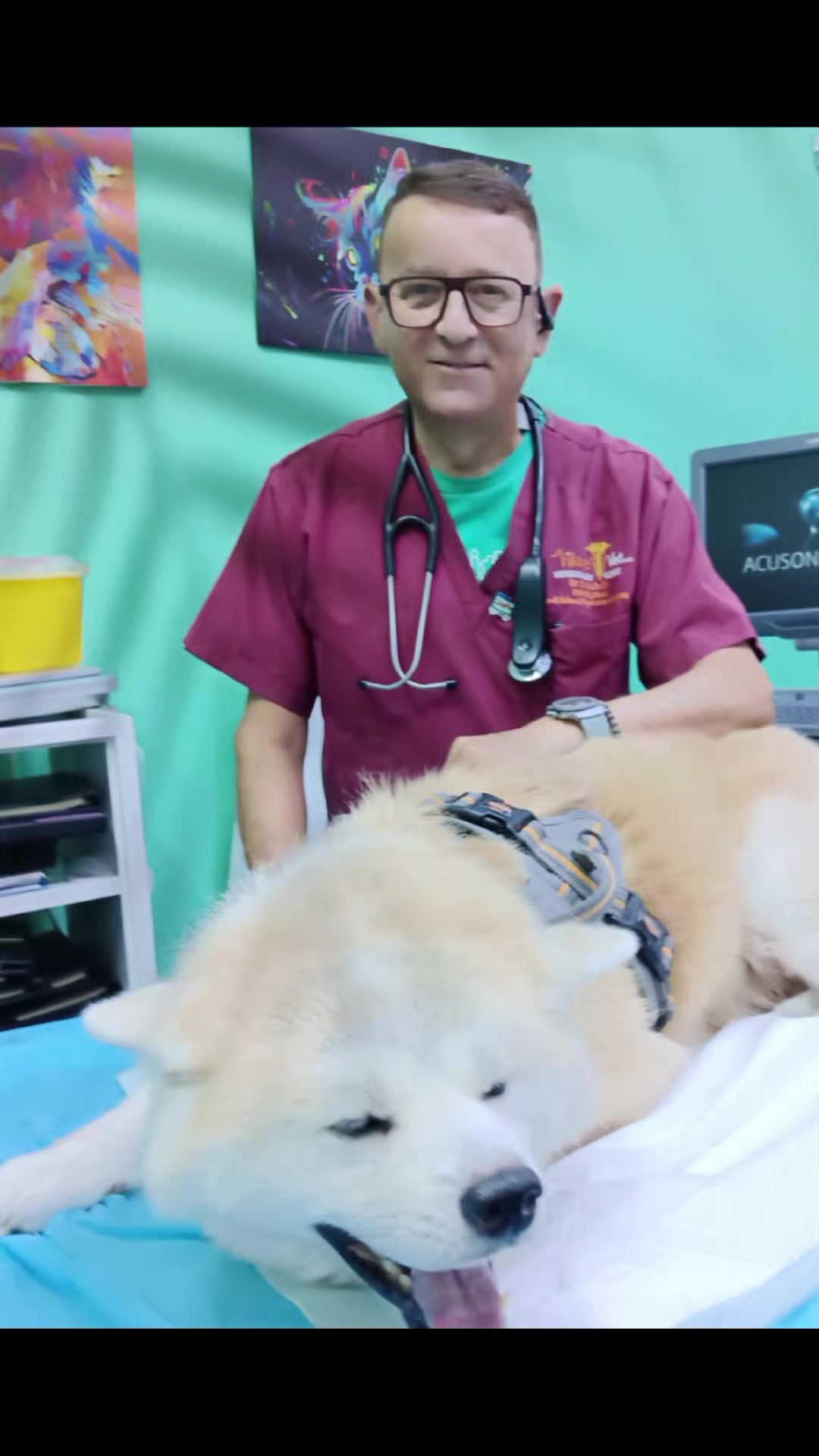 @VillagevVet LLC