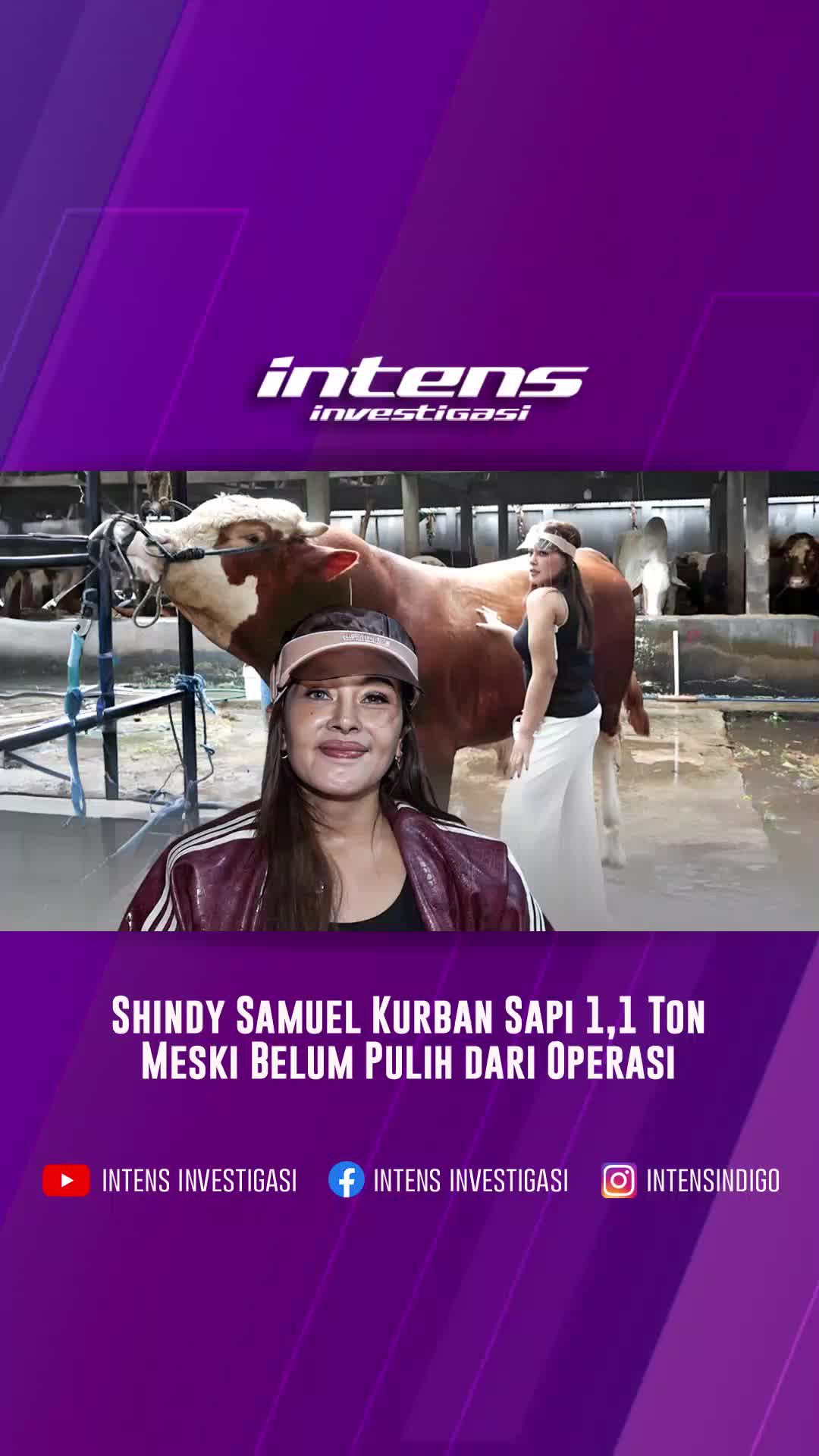 @Intens Investigasi