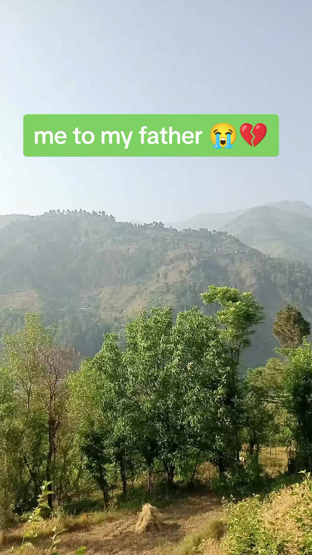 @Shah Hussain Bukhari🍁