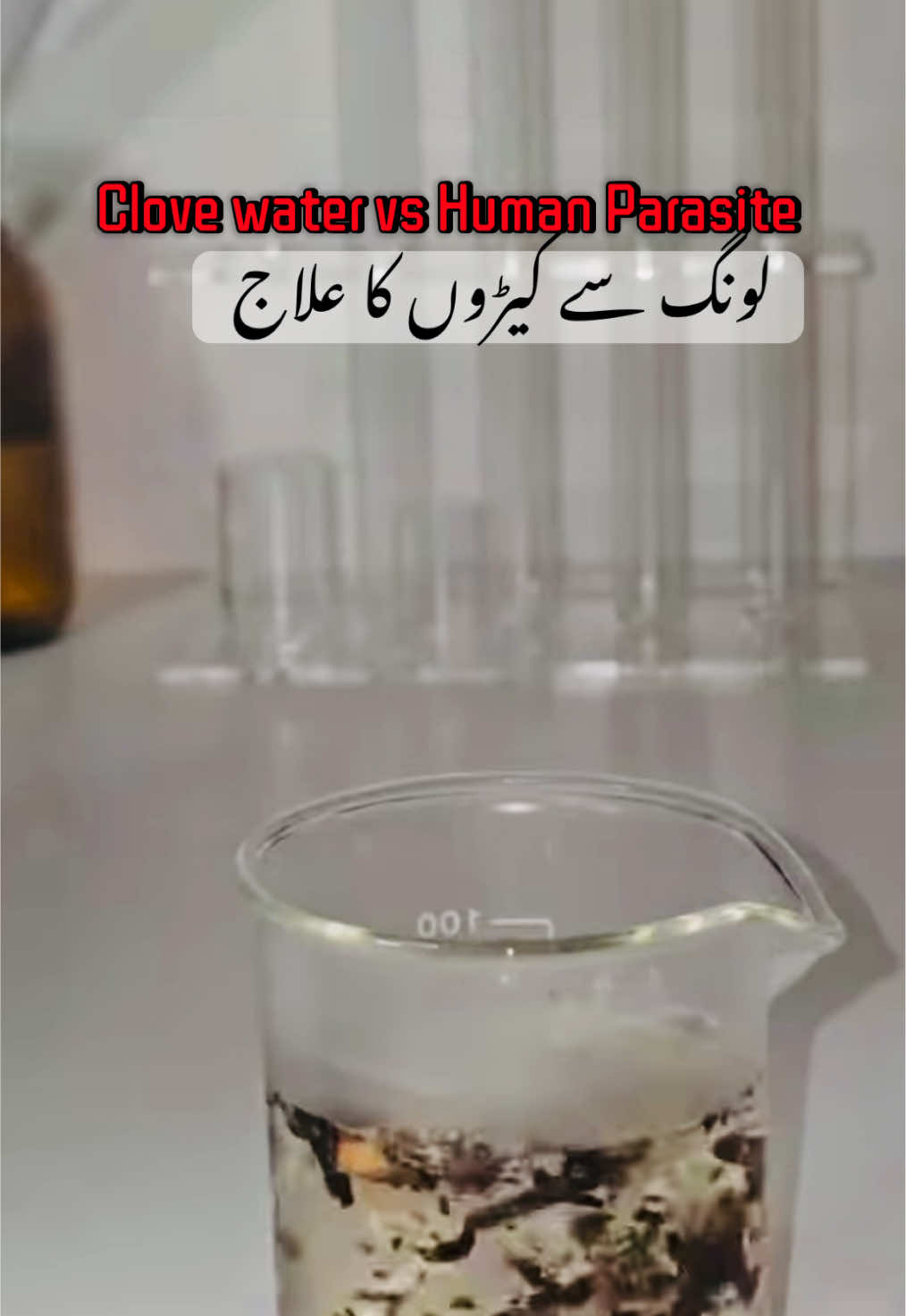 @Pest Mysteries