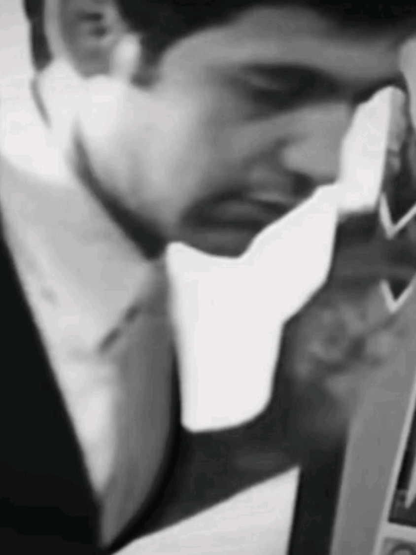 @Tropical Monzun