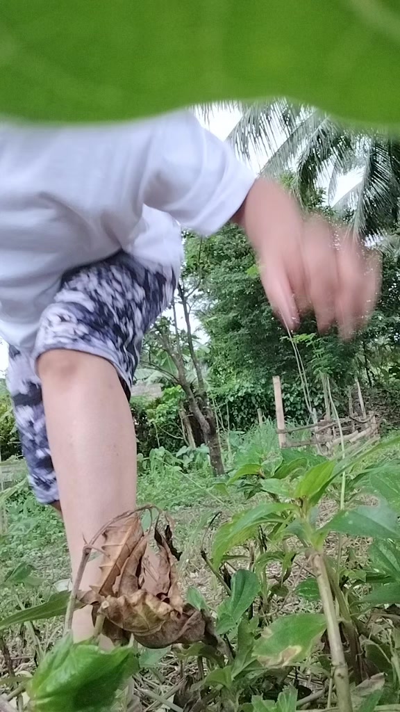 @Hyper_elmz
