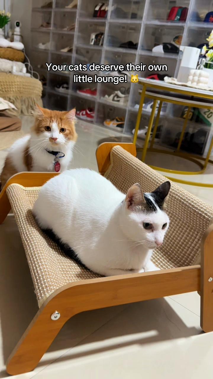 @ncncnczxc