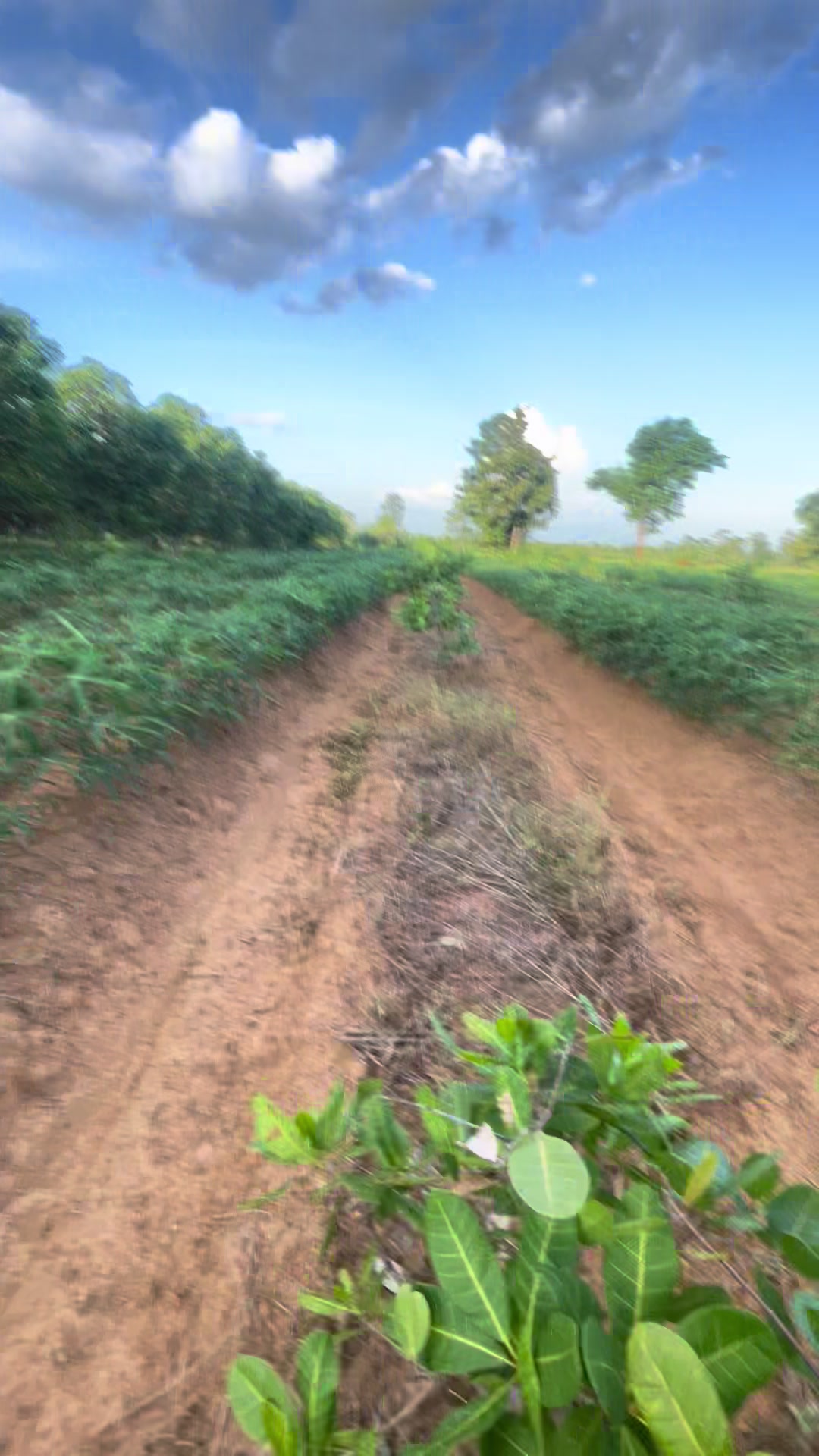 @បង ឡង99529