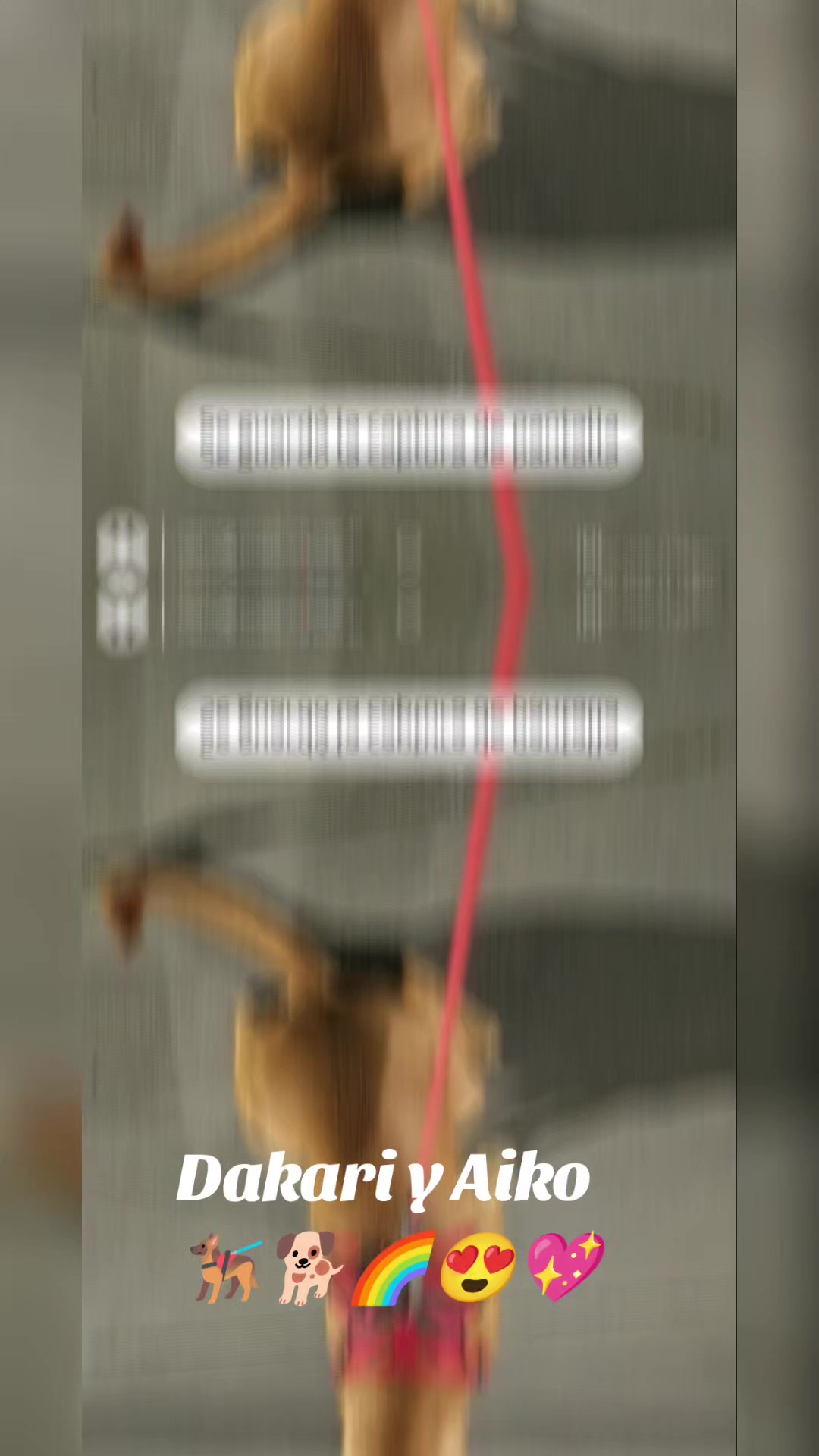 @LilyTajonar🦵🏻🪽😔