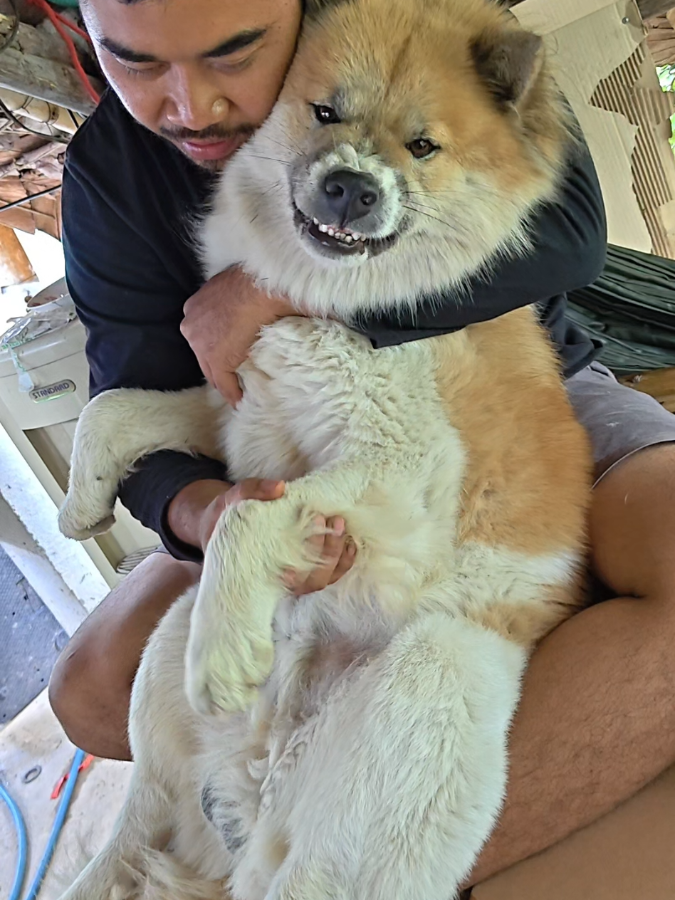 @หลิวหลิว แม่พี่ธอร์