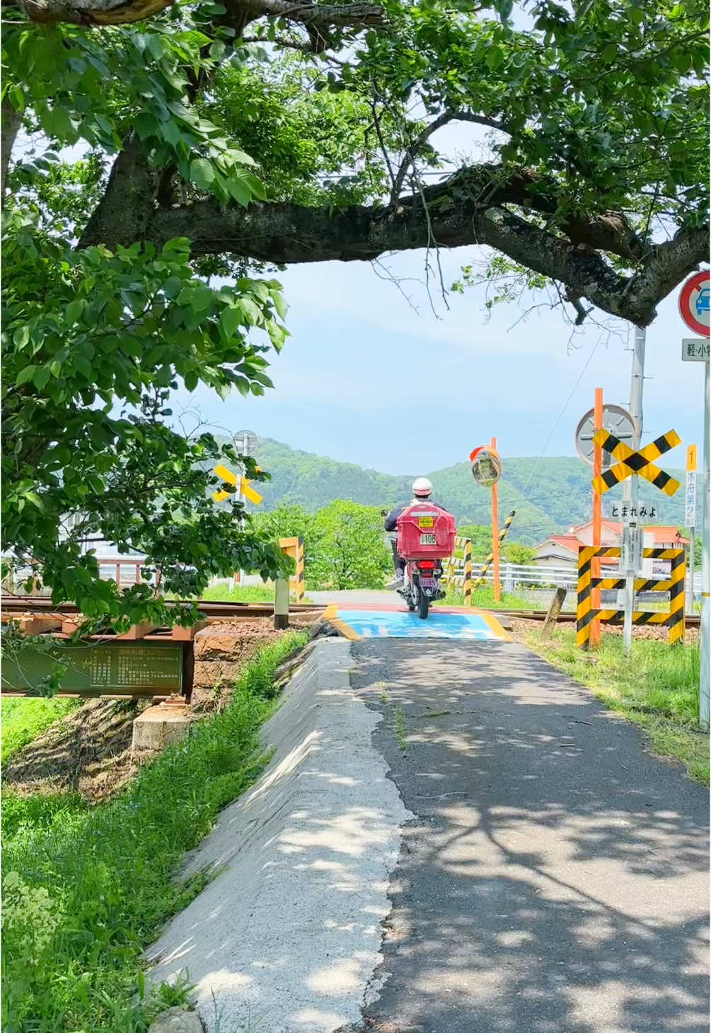 @とらのぽいち